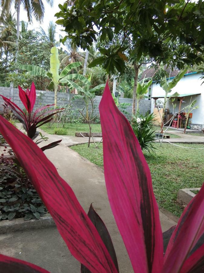 Safsia Homestay Toyapakeh Exterior foto